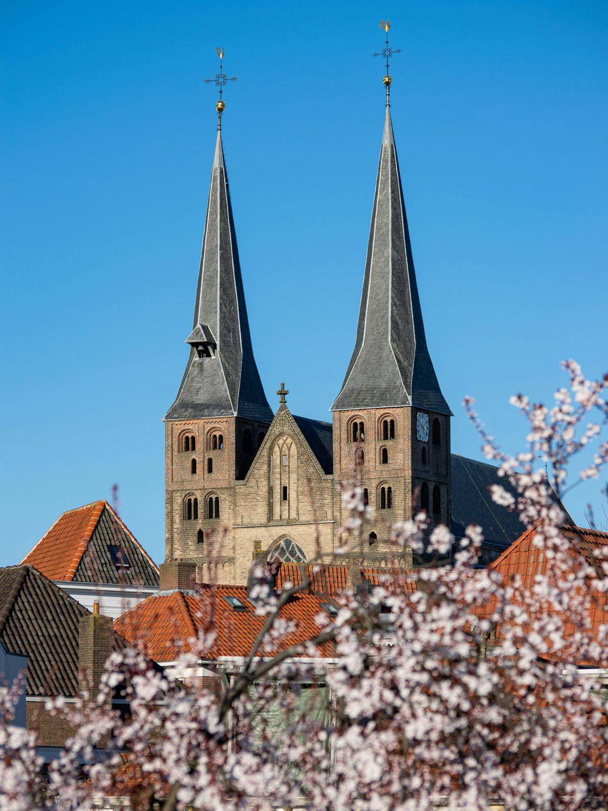 De Bergkerk in Deventer achter bloeiende bomen